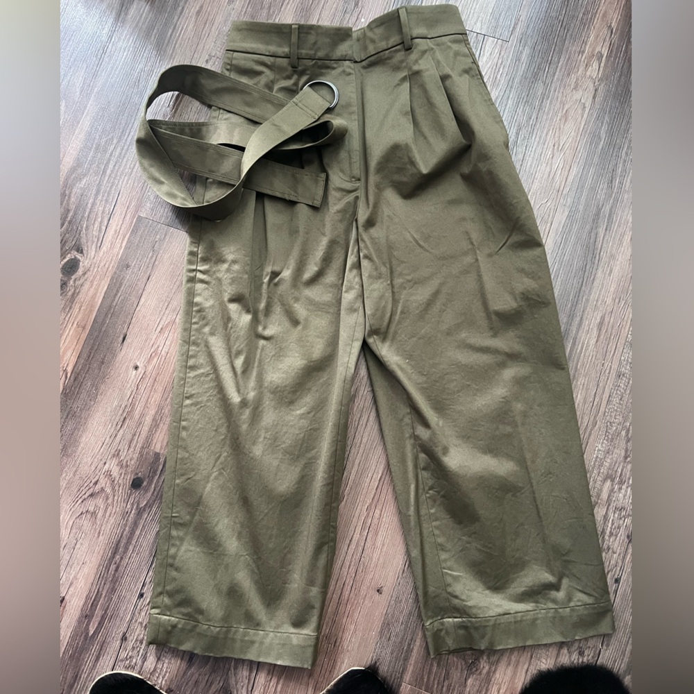 Banana Republic Olive Green Pleated Wide-Leg Chino Pants